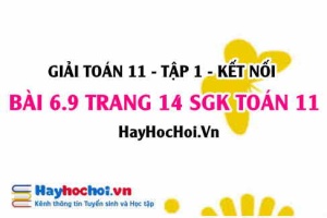 Bài 6.9 trang 14 Toán 11 tập 2 Kết nối tri thức